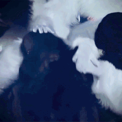 Profile pic for eve | 🌞 & 🌚