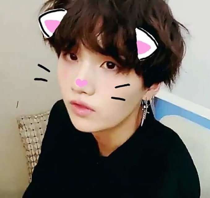 Profile pic for Lil Meow Meow